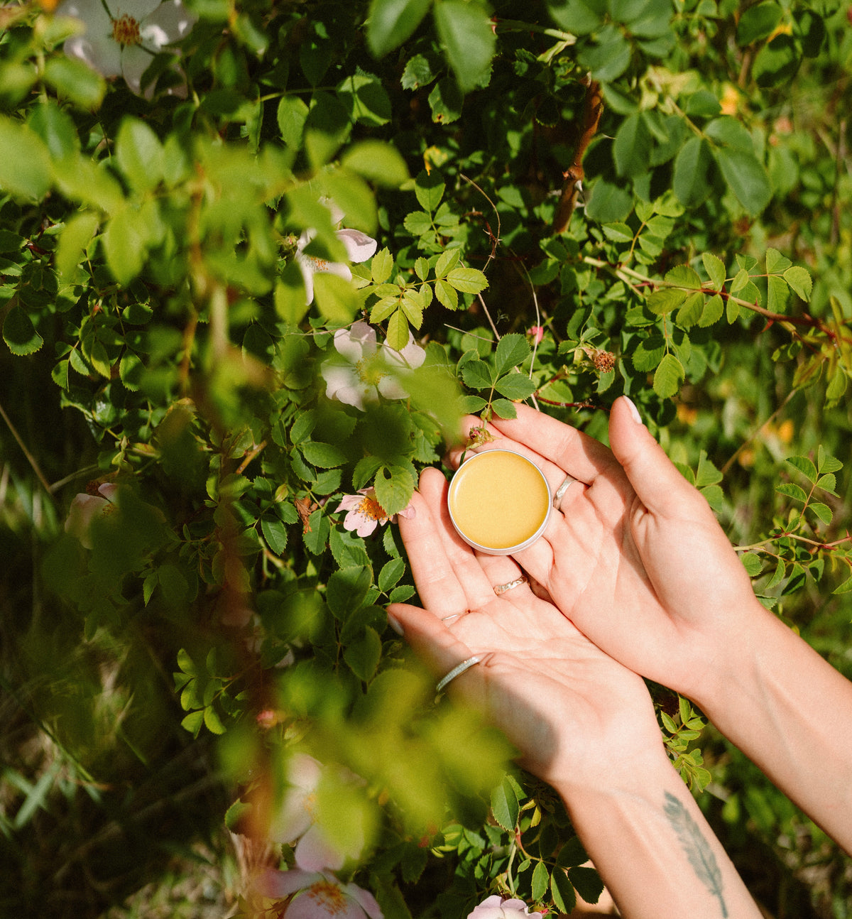 Earth Balm - Vejbred salve